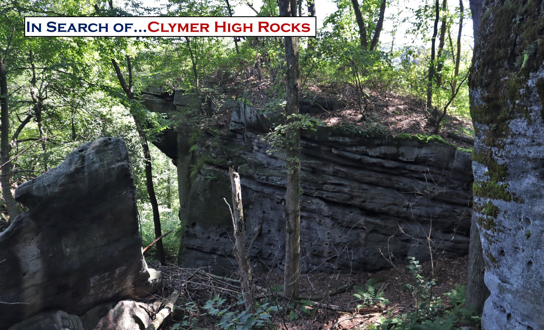 In Search of…The High Rocks of Clymer, PA Catbird Life