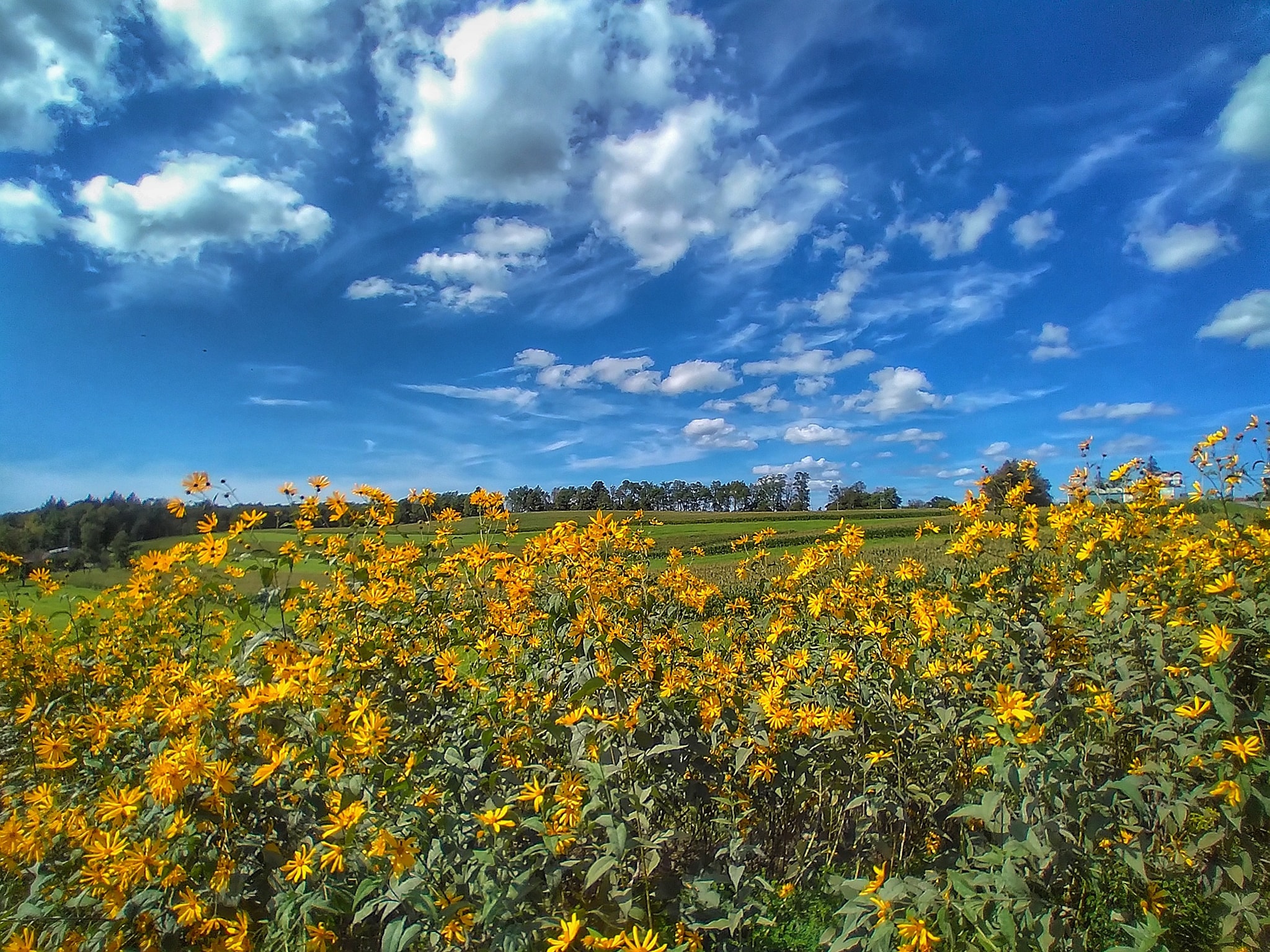 Contact us Catbird Life