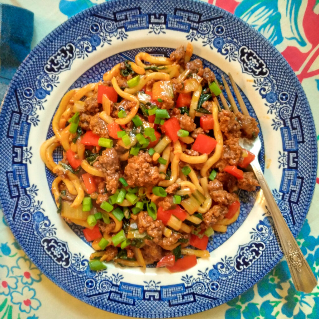 Spicy Beef Udon Noodles A Deliciously Easy OnePan Wonder! Catbird Life